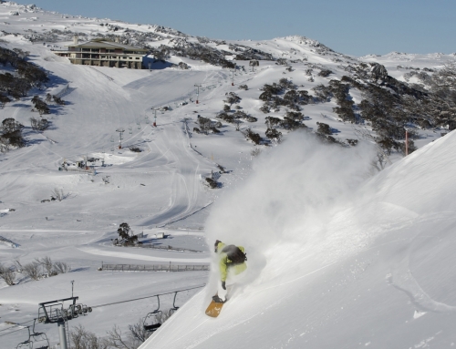 All You Need To Know About The Snow